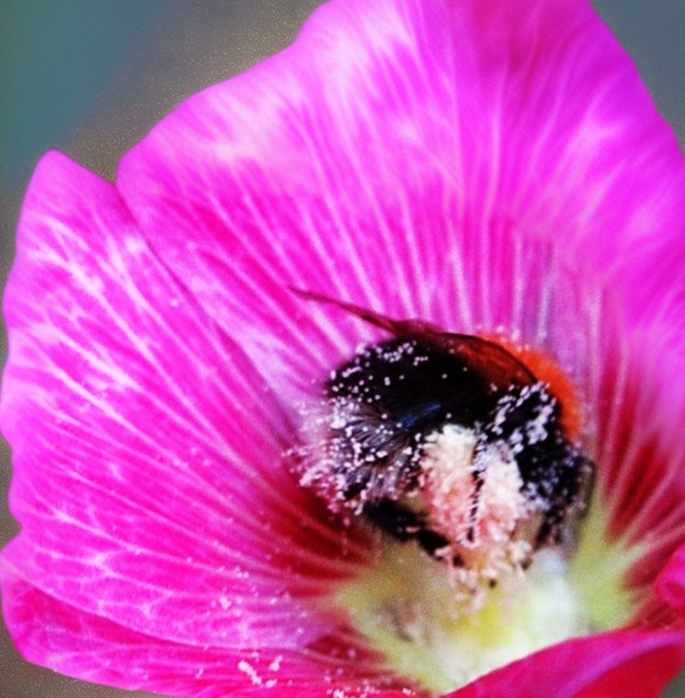 создано с помощью Kandinsky 2.2 и фото из открытых источников интернета