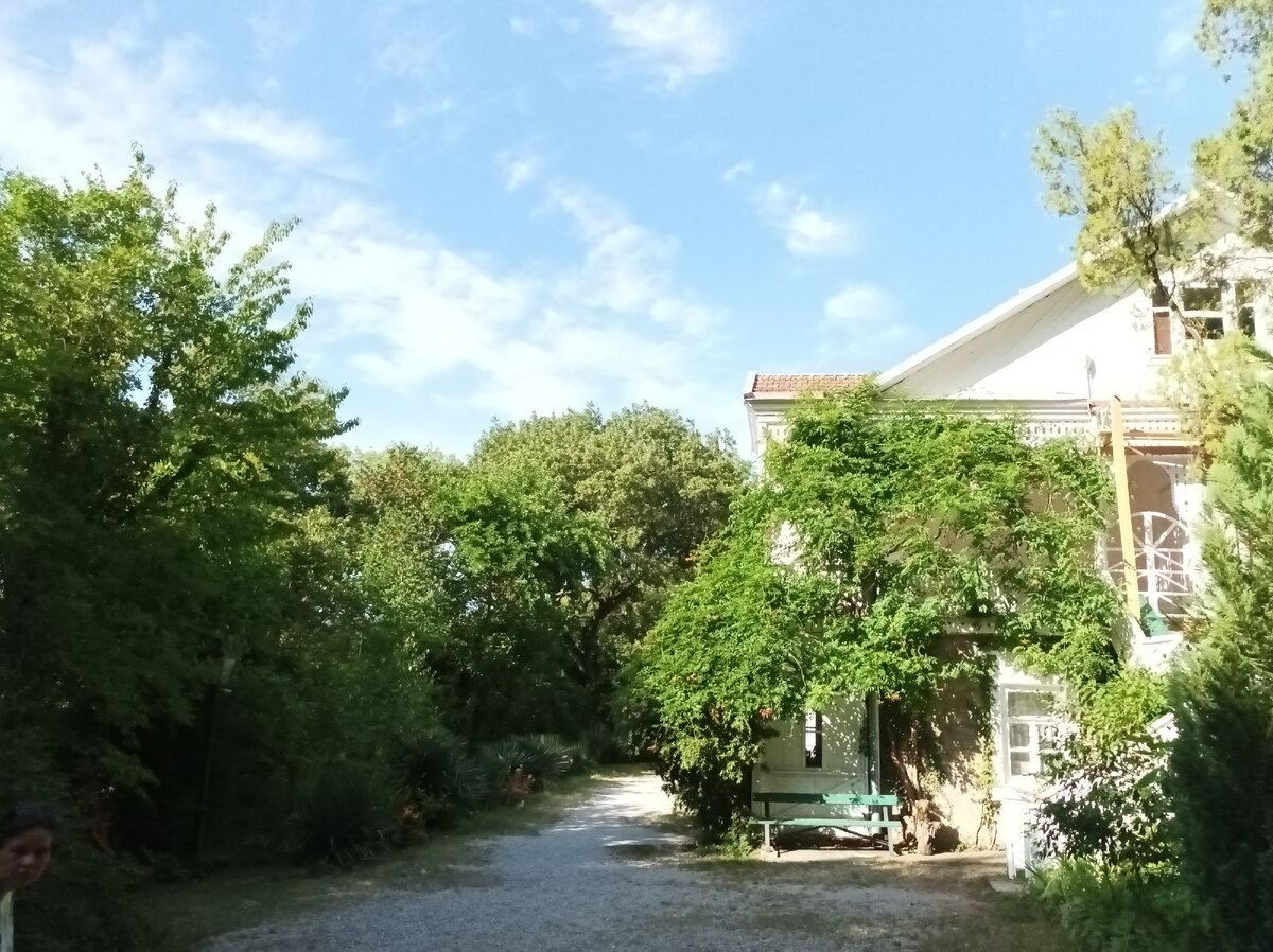 Вот такая зелень