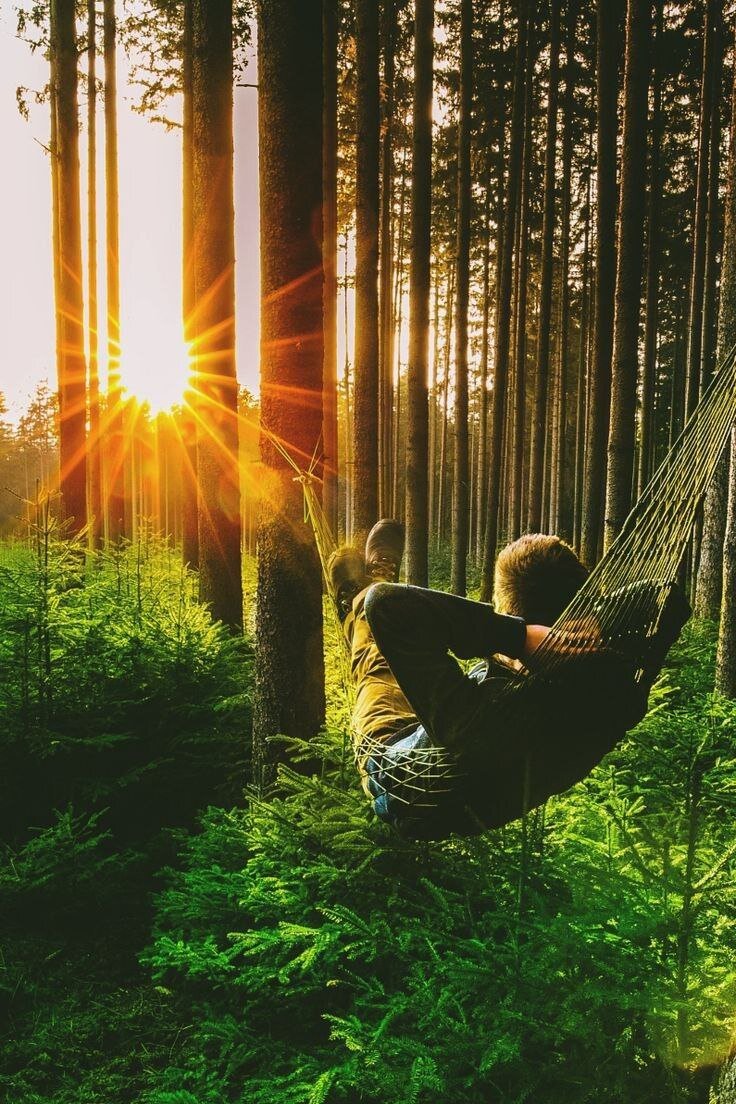 Из интернета