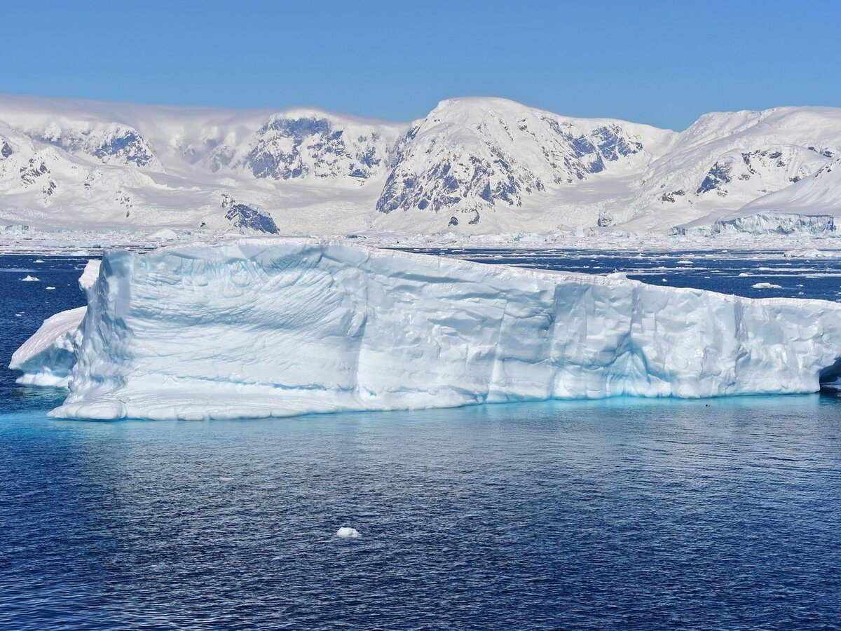 северо атлантический хребет на карте атлантического океана. карта дна северного ледовитого океана. антарктида крупная карта. океаны омывающие антарктиду. хребет скоша.