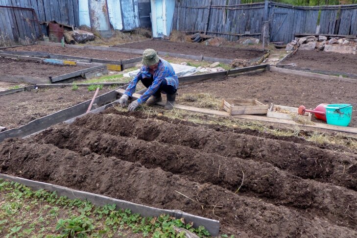   Фото Андрея Заржецкого