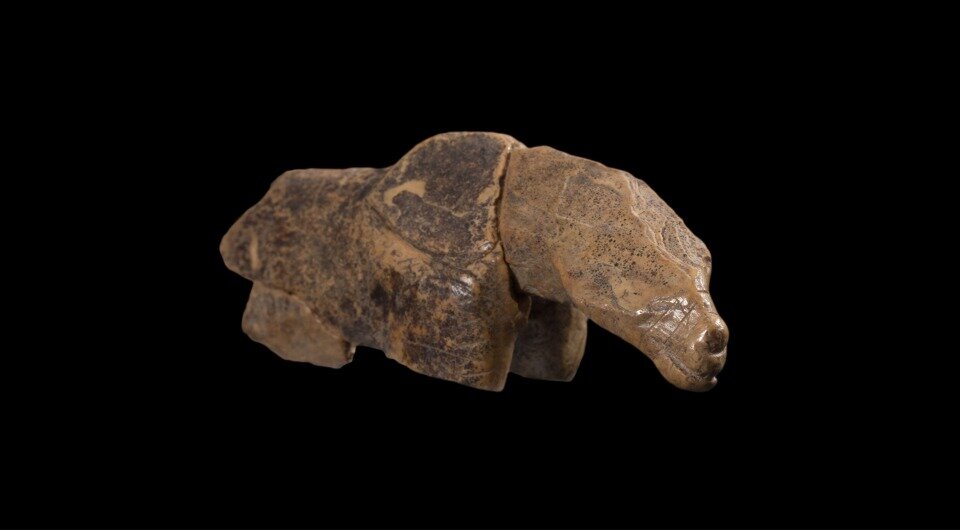   Eberhard Karls Universität Tübingen