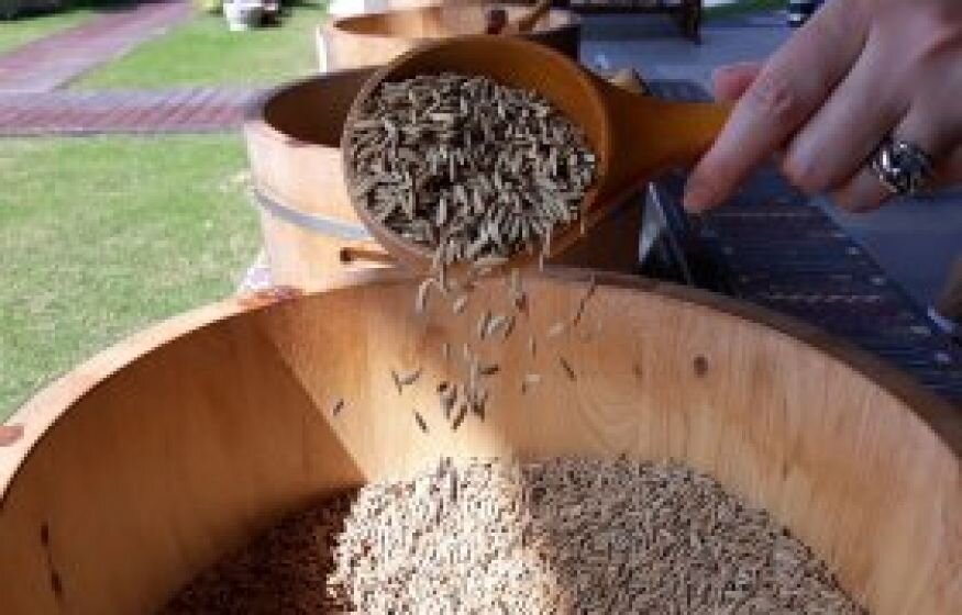    Из России запретили вывозить рис