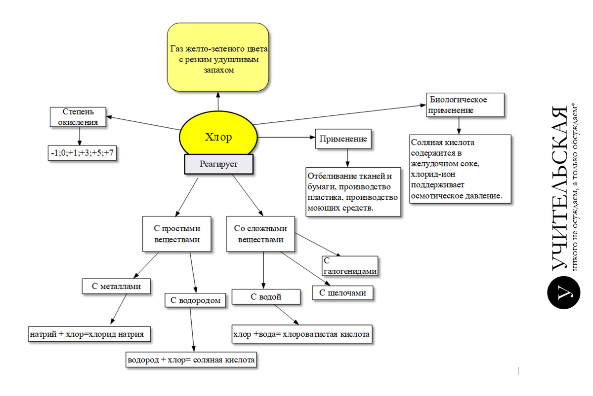 Mindmap: помощь в заучивании большого количества терминов | Учительская |  Дзен