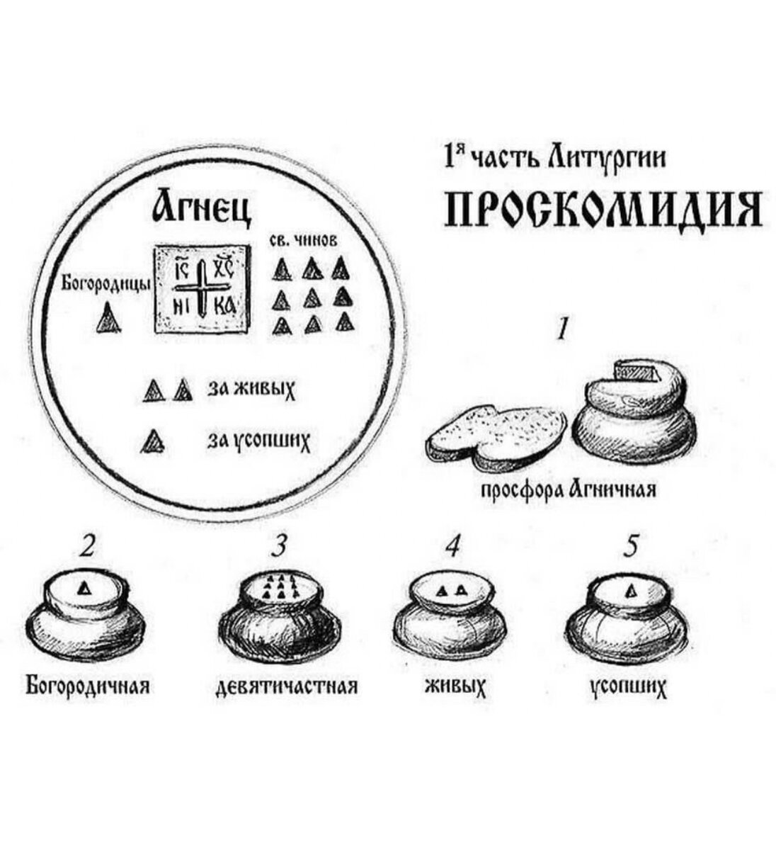 Чин чином как пишется. Проскомидия иллюстрация частиц. Проскомидия просфора здравие. Частицы из просфоры на литургии. Проскомидия схема просфор.