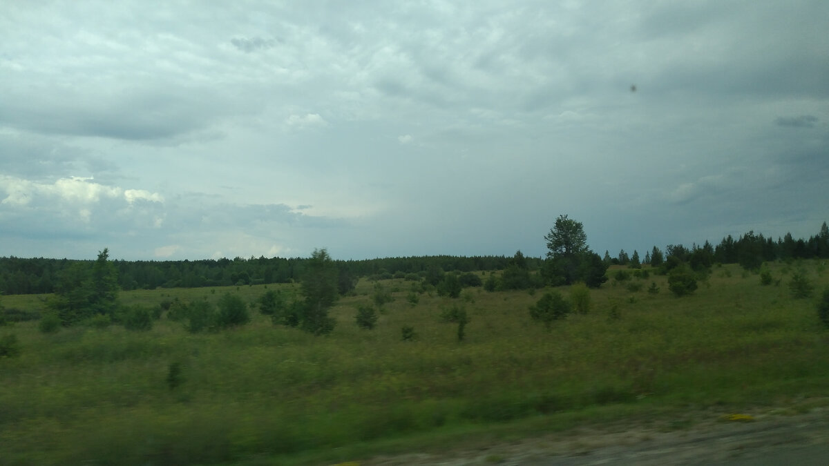 Фото автора. Дорога.
