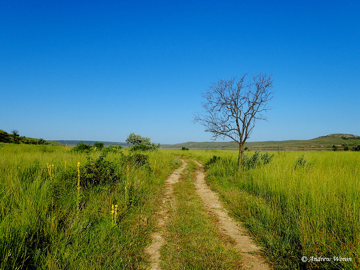 Дорога от нового магазина к озеру