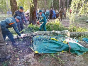   Фото: пресс-служба МЧС России