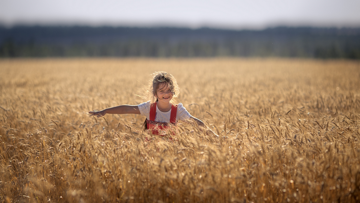 Дети просторов. Фотосессия в пшеничном поле. Девушка в пшеничном поле. Дети в поле. Ребенок в пшеничном поле.