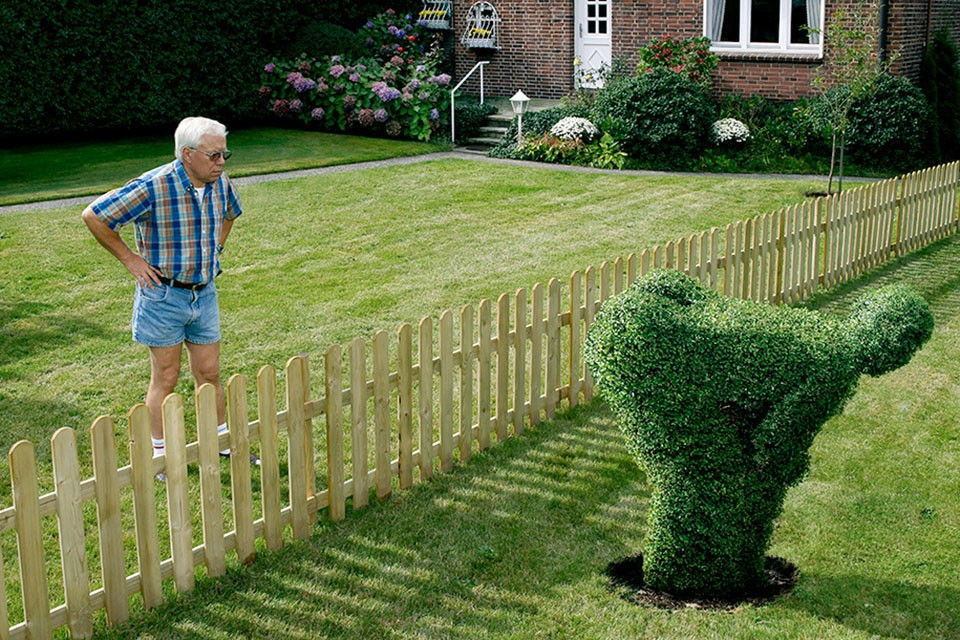 Фото Яндекс-картинки