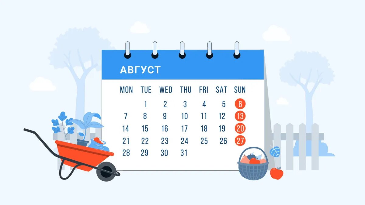 Иллюстрация: Моё дело