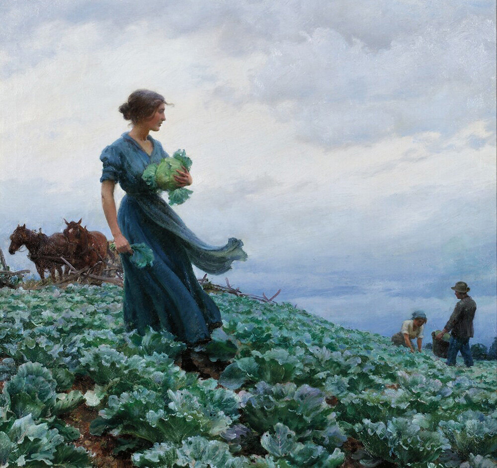 2. Чарльз Кортни Каран. Капустное поле, 1910 г. Изображение: mix-pix.ru