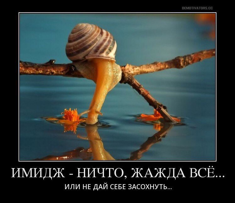 Из интернета