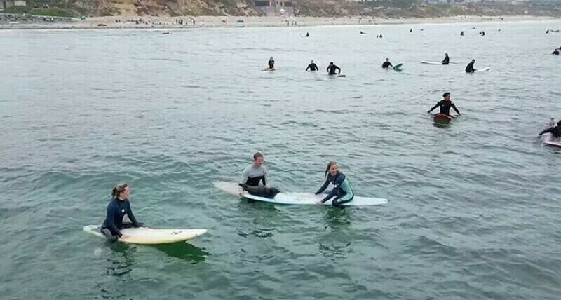    Видео: маленький тюлень захотел заняться серфингом и забрался на доску к спортсменам