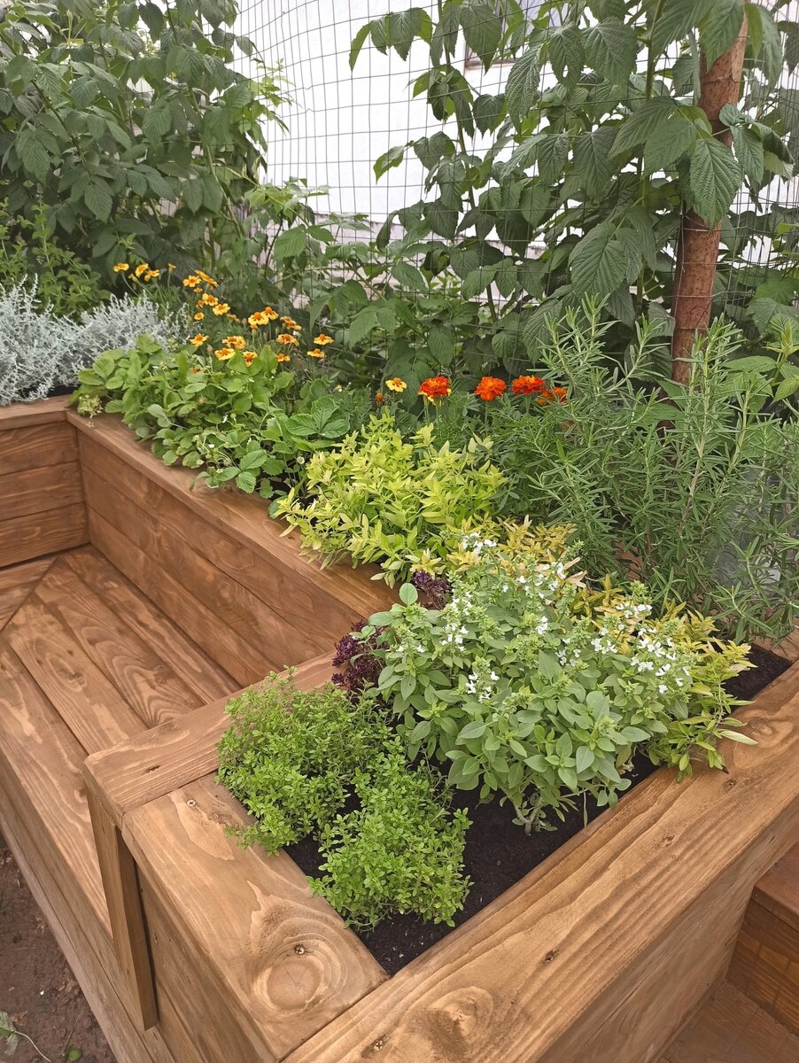 Готовый результат! Патио с пряными травами и цветами 🌱