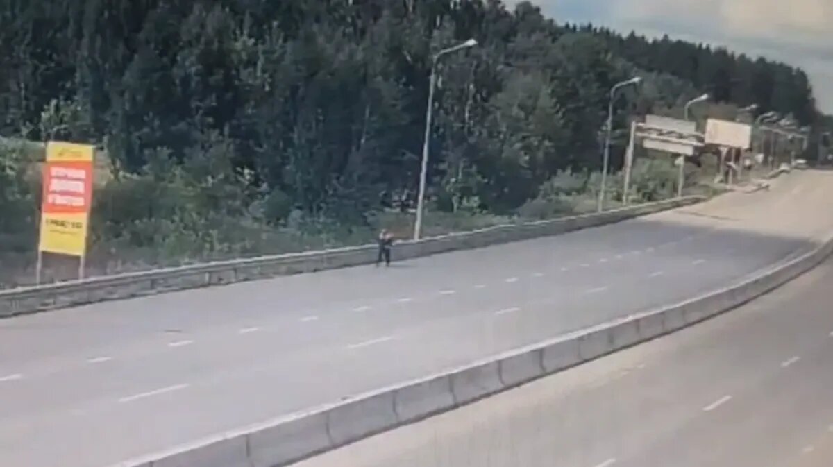 Фото: видео Telegram-канал SHOT