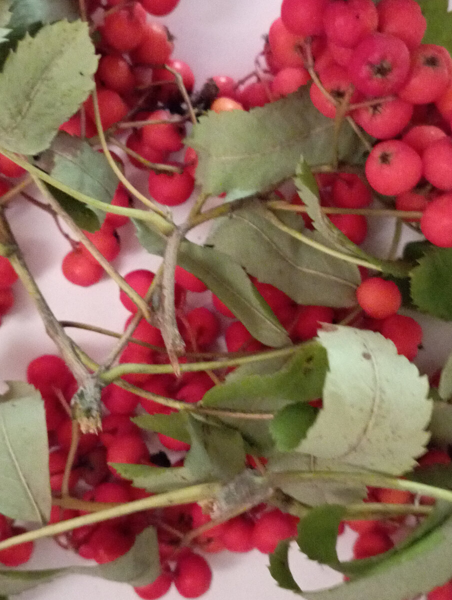 еда и практика