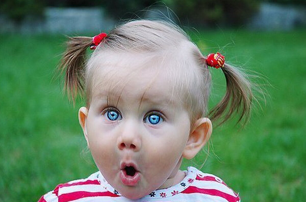 Картинка с Яндекс.Картинки