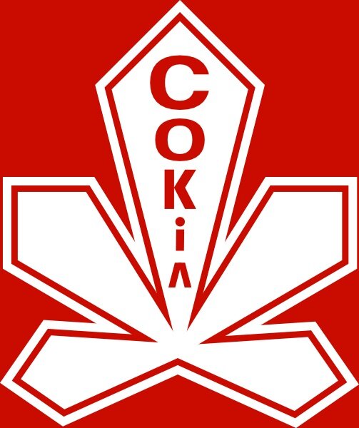 Клуб основан в 1963 году Изначально хоккейный клуб назывался Динамо и лишь в 1973 году был переименован в Сокол. Хоккейный клуб Сокол провёл в высшей лиге Советского первенства 19 сезонов.