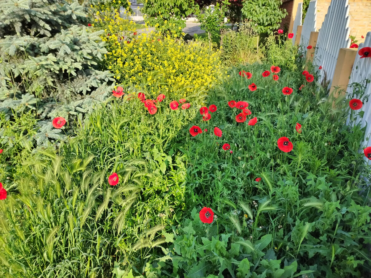 Красиво конечно, но неаккуратно. Перед двором - ДО !