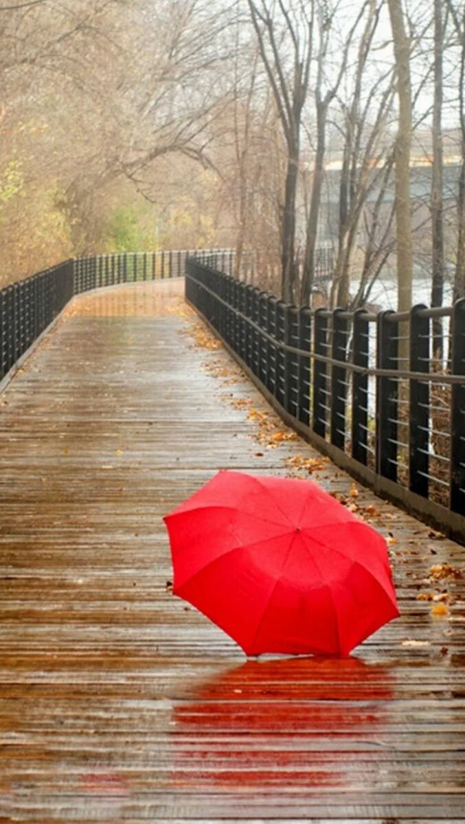 Яндекс картинки