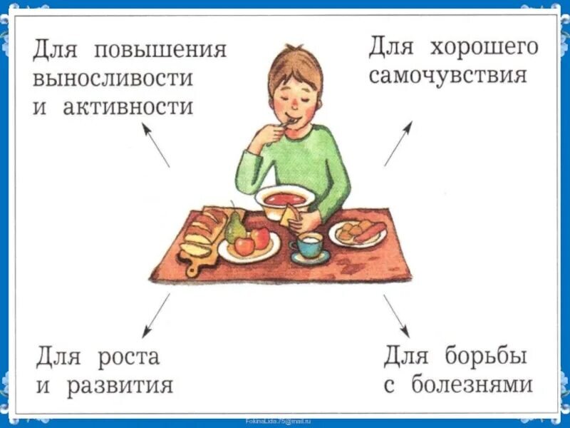 Питание важно. Зачем нужно правильное питание. Почему надо правильно питаться. Почему люди должны заботиться о правильном питании. Зачем правильно питаться для детей.