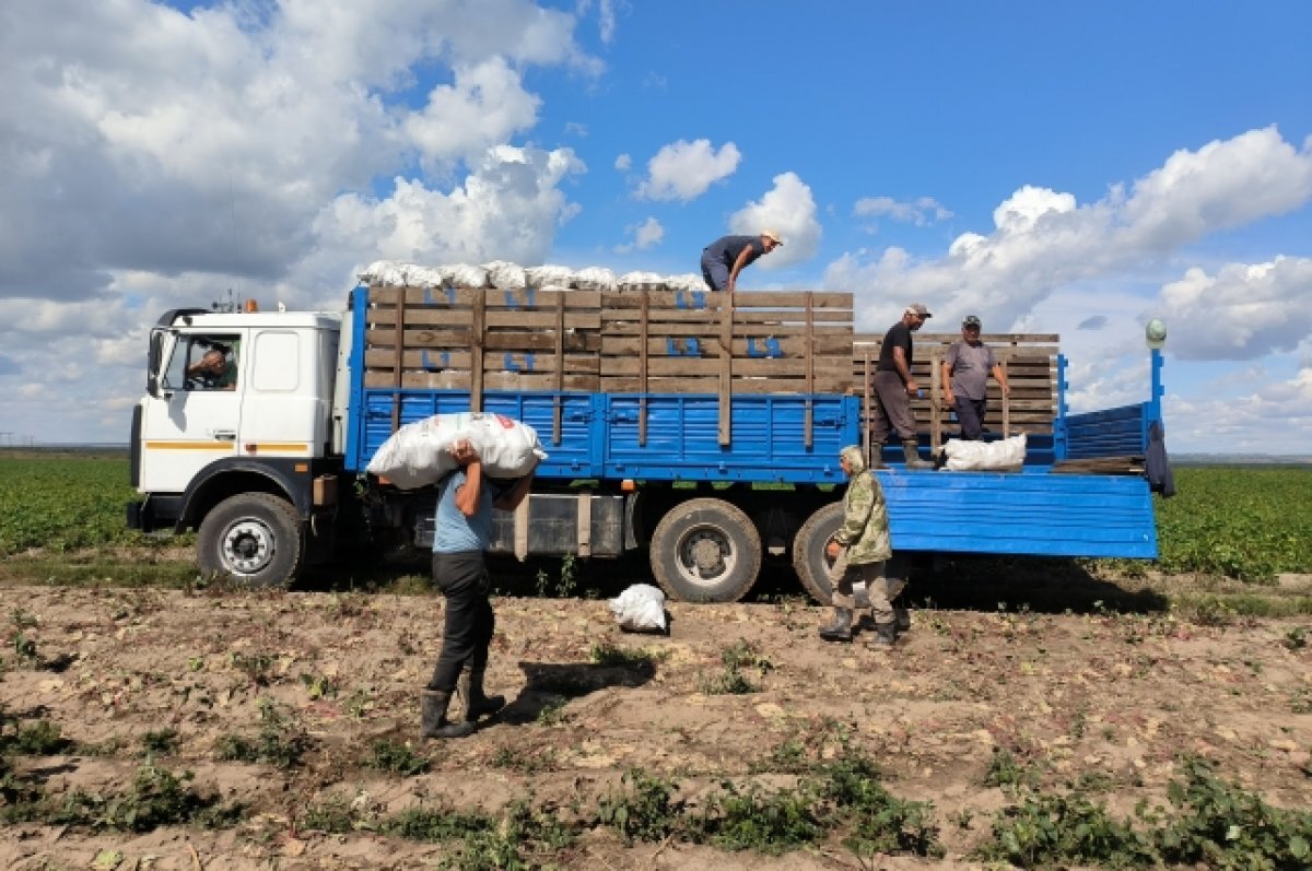    Старт для фермера.