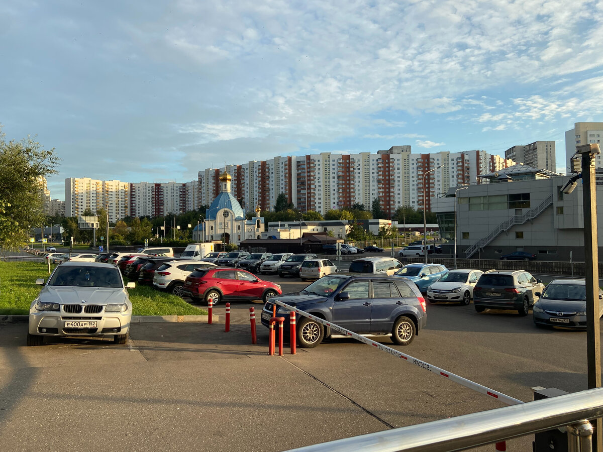 пример количества цветов