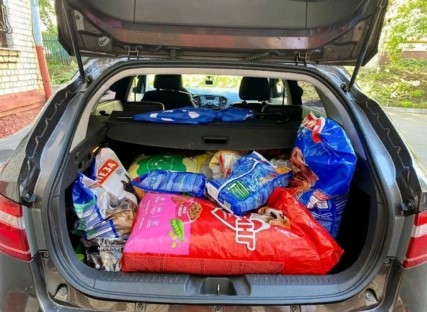 Фото с аккаунта Н.Валуева от 28 августа 2023 года во ВК