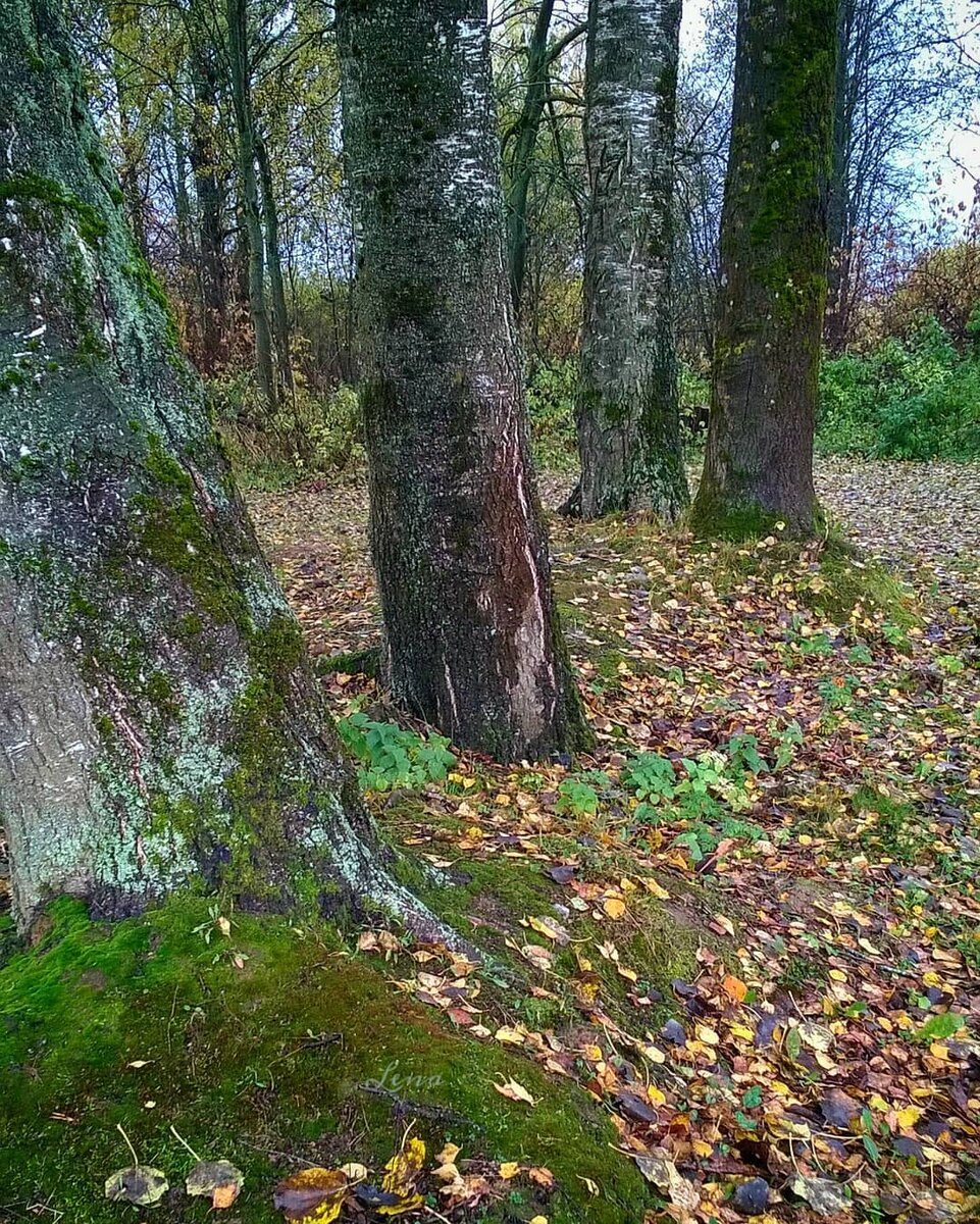 Авторское фото