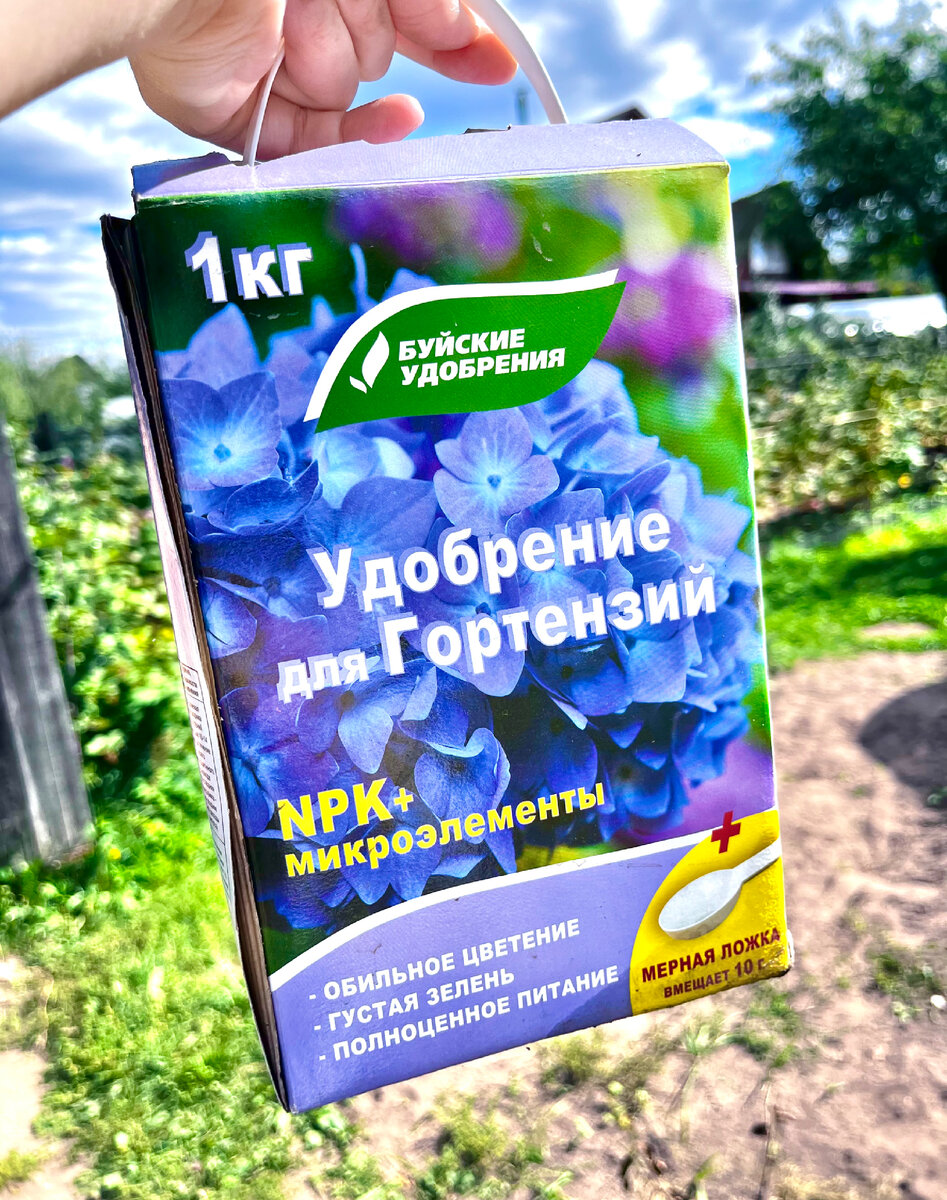 Как удобрять гортензию весной. Удобрение для гортензий. Подкормка гортензии.