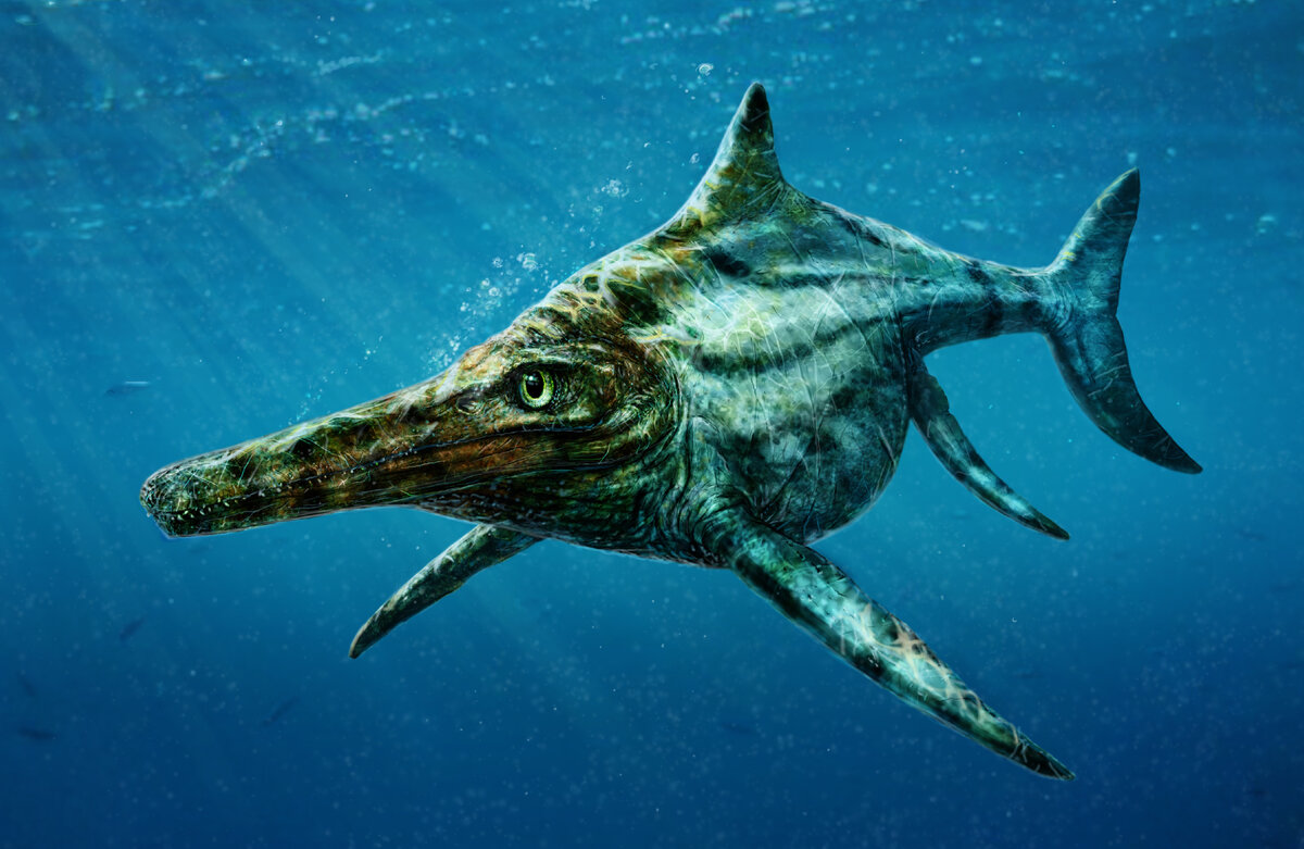 Что за существо оказалось на берегу?
Источник фото: https://naked-science.ru/wp-content/uploads/2016/04/article_dearcmhara_wide-725d6f729db26721e7bec2c89bdfd8238b4307a4.jpeg