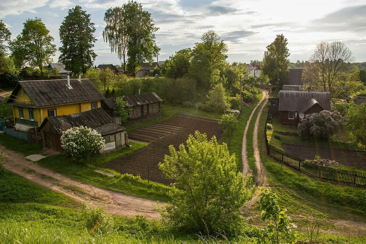 А реальность была такова, что без огорода в деревне мне не выжить на одну  зарплату библиотекаря. Эту зиму я еще перекантуюсь. | Татьяна  Бутенко/Рассказы фэнтези и не только | Дзен