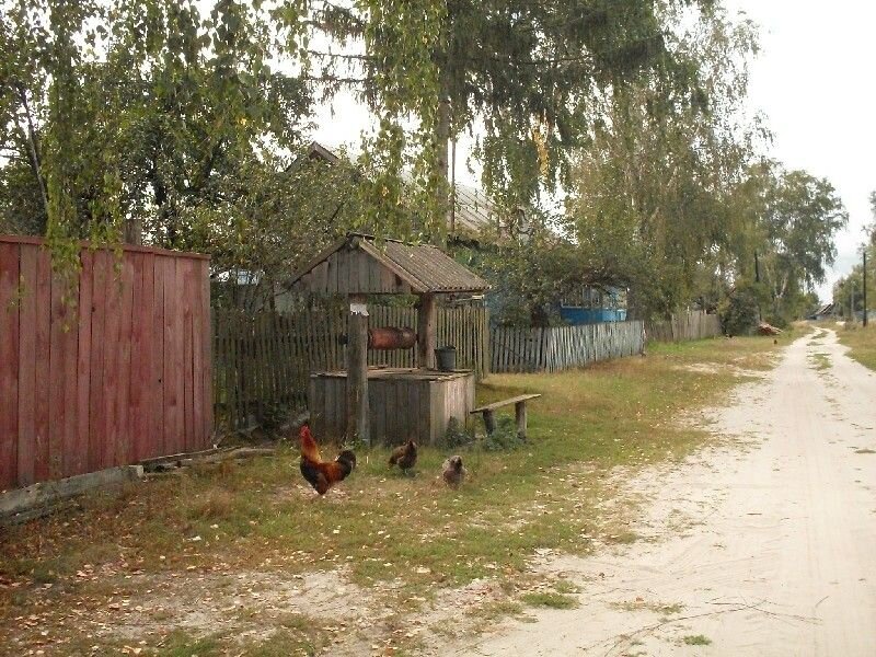 Вот такие у нас тогда были колодцы... Яндекс-фото