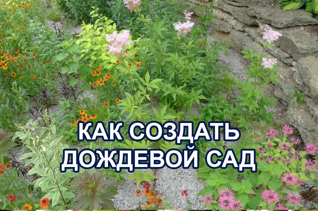 С дождевым садом используйте — не теряйте — поток дождевой воды, который падает на мощеные участки и крышу. В мире дефицит воды, так давайте использовать ее на полную!