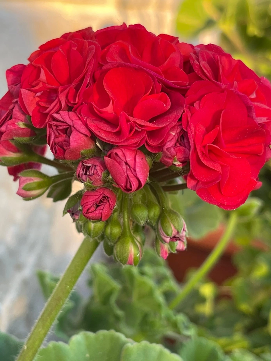 фото Ольги Раченко