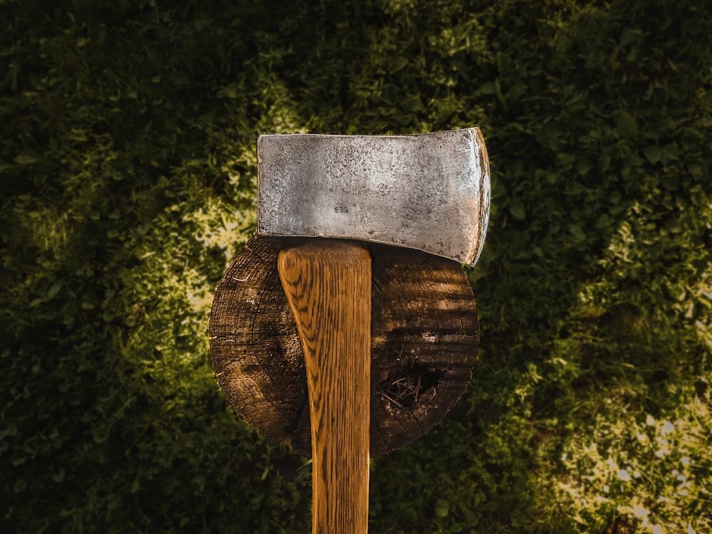 Photo by Tyler Lastovich / Unsplash 