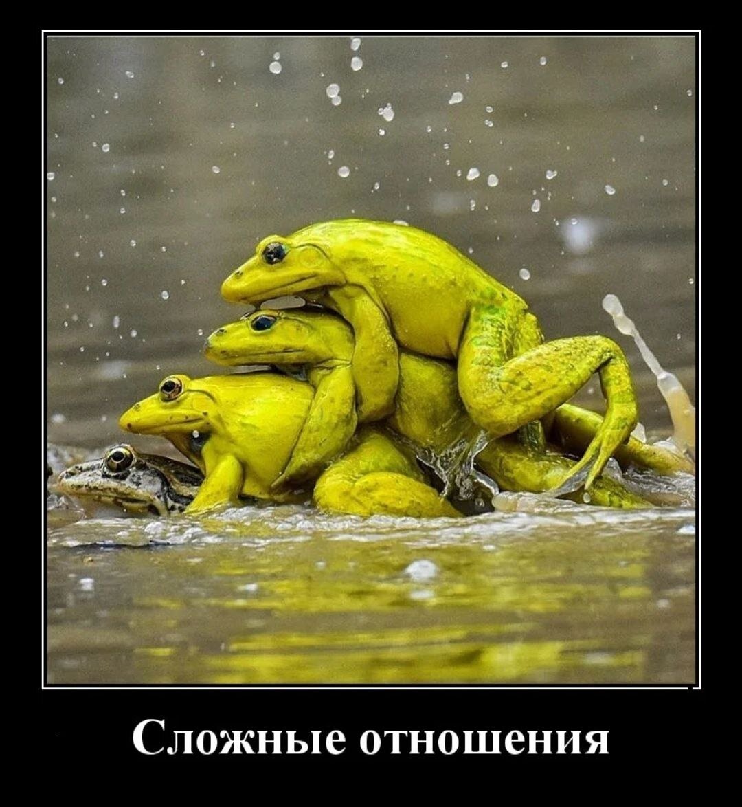 Что можно узнать за 10 лет в знакомствах? Или налаживаем связь между  полами. | Злой нутрицолог | Дзен