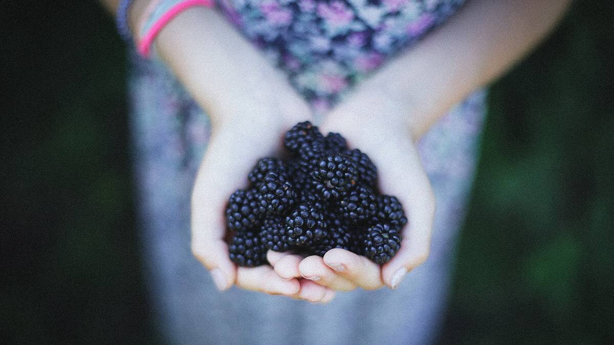    Фото: Unsplash
