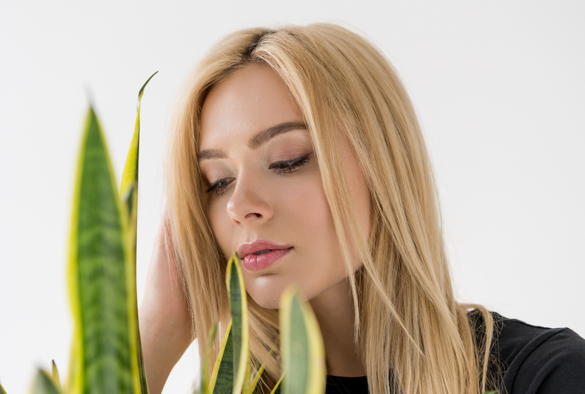 Изображение используется на правах коммерческой лицензии