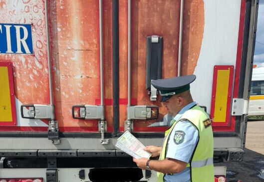    С начала июля в Оренбуржье не пропустили более 86 тонн продукции из Казахстана Кристина Просвиркина