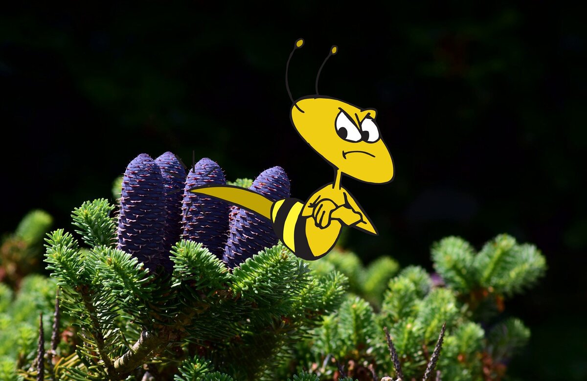 Прополис и злобность пчёл