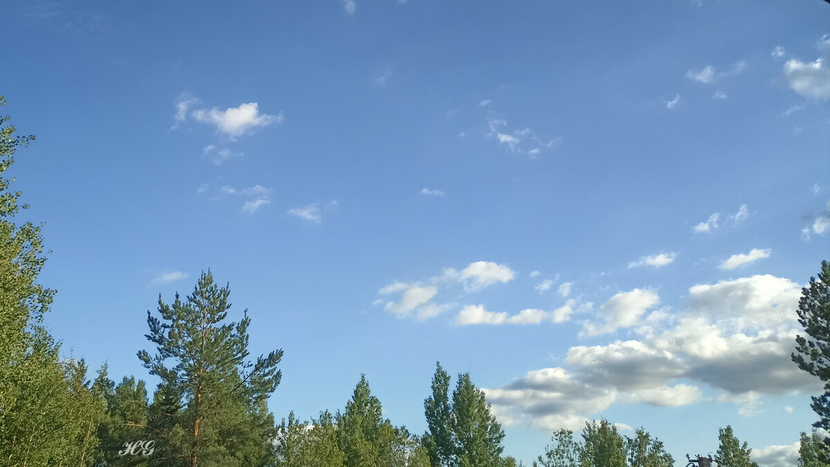 Картинка для обложки
