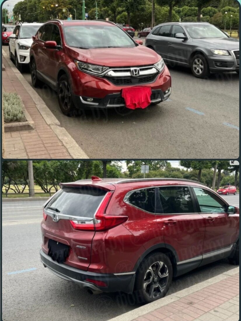 Последние трусы на парковку