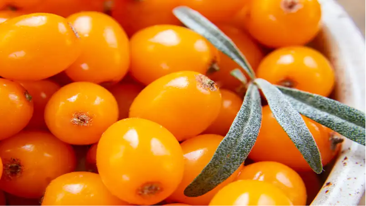 Облепиховое масло