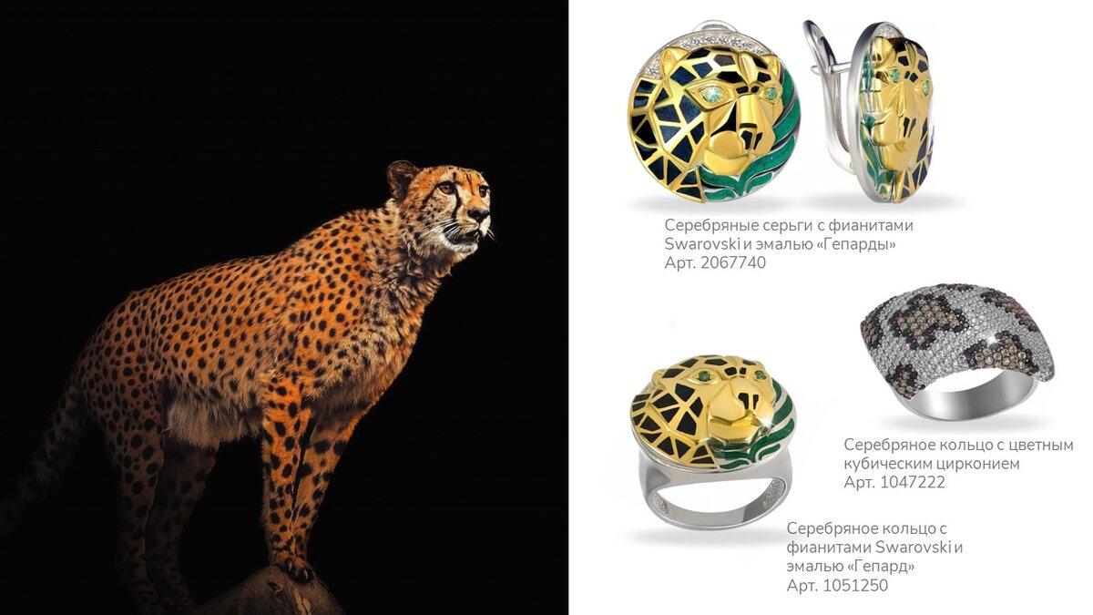 Грациозный и изящный гепард