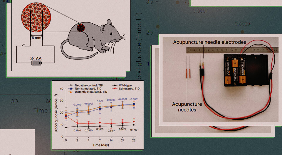   N + 1; Jinbo Huang et al. / Nature Metabolism, 2023