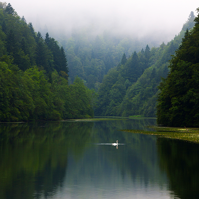"Счастливая жизнь начинается со спокойствия ума"

Марк Туллий Цицерон