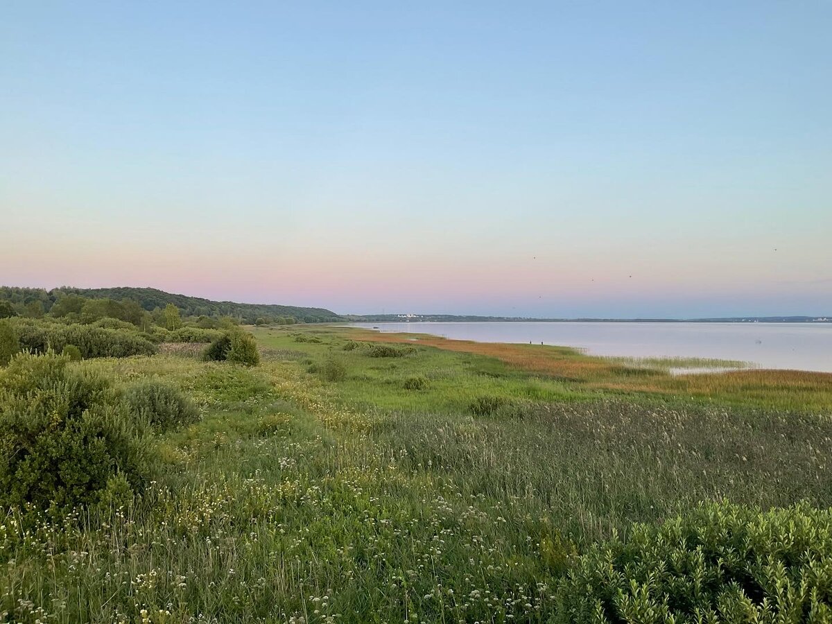 Плещеево озеро сельдь