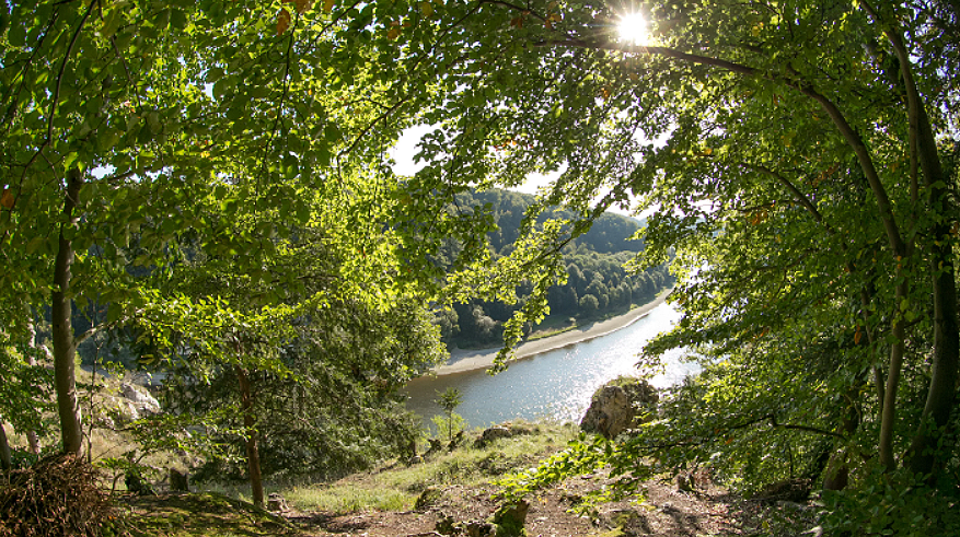 Картинка взята в интернете